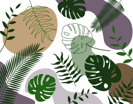 Leaves abstract background. Leaf of monstera, palm and other. Vector illustration.