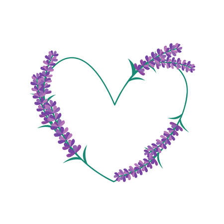 Floral heart frame isolated on white background. Lavender flowers. Vector flat illustration.のイラスト素材