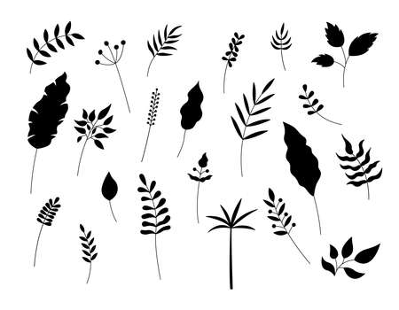 Leaves silhouettes isolated. Vector set of plant decorative elements on white background. Simple hand drawn black objects for floral designs.のイラスト素材