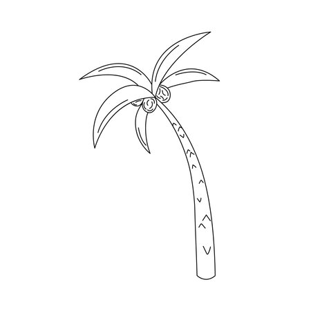 Palm tree doodle isolated. Vector illustration of cute hand drawn outline tropical tree. Palm and coconuts. Black and white scribble design element. Summer holiday symbol.のイラスト素材