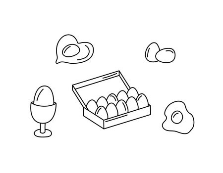 Eggs vector doodles set. Food elements isolated black on white background. Hand drawn outline illustration of fried, scrambled eggs and packaging. Hand drawn cute doodle drawingsのイラスト素材