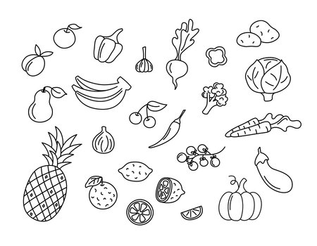 Fruits and vegetables vector doodles set. Raw food elements isolated black on white background. Hand drawn outline illustration of pineapple, bananas, pumpkin and carrots. Hand drawn doodle drawingsのイラスト素材