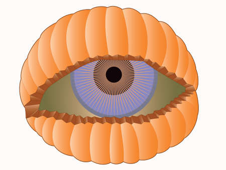 Illustration of scary eye looking out of pumpkin shell.のイラスト素材