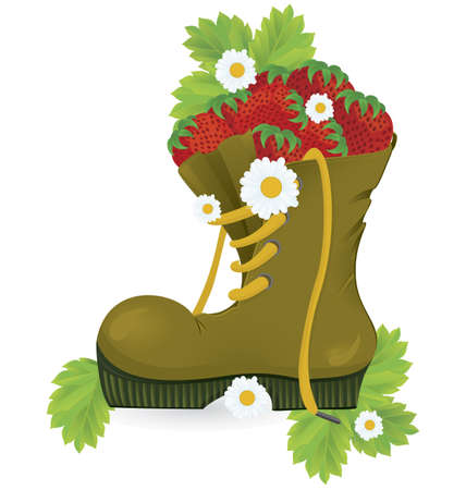 Strawberries old shoe and daisy flowers close-up illustration on white background 

のイラスト素材
