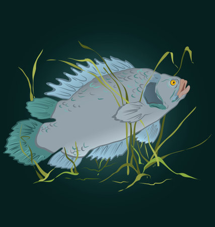 illustration of gray fish swimming in seaweed
