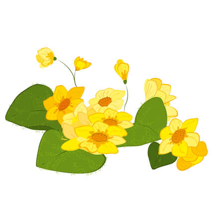 Hand drawn illustration of yellow blooms flowers isolated on white.

のイラスト素材