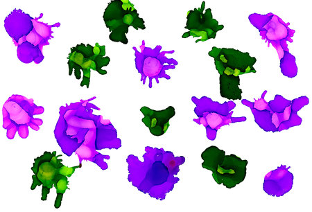 Paint spots purple green uneven on white.Colorful background hand drawn with bright inks and...