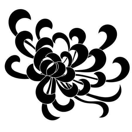 Aster flower black isolated on whiteのイラスト素材