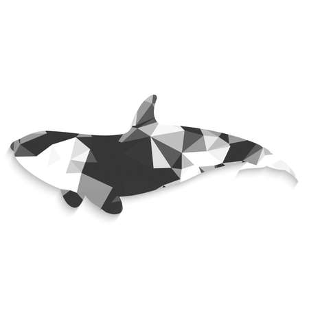Low poly whale monochrome 3d with realistic shadowのイラスト素材