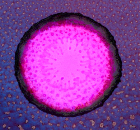 Big pink round spot.Colorful background hand drawn with bright inks and watercolor paints. Color...