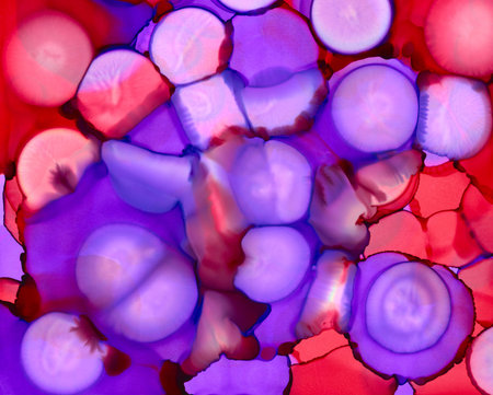 Light purple and scarlet red uneven merging spots.Colorful background hand drawn with bright inks...