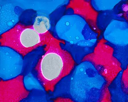 Bright pink white blue scattered color spots textured.Colorful background hand drawn with bright...