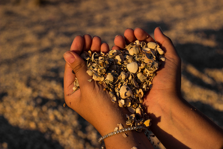 Mellow heart shaping female hands above beachの写真素材