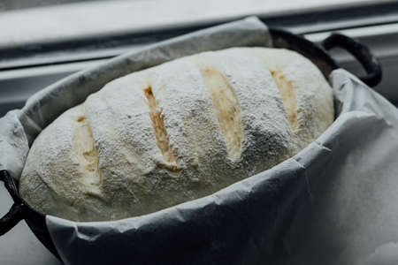 Loaf of proofing bread, raw dough in a proofing bowl, homemade wild yeast bread.の写真素材