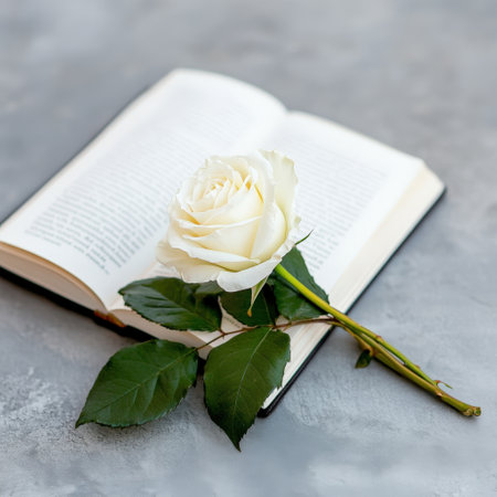 Open book and white rose on gray surface: a serene still life.の写真素材