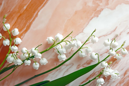 Lily of the valley flowers against marble backgroundの写真素材