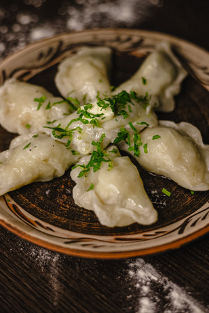 Delicious homemade dumplings garnished with fresh herbs on a rustic plate.の写真素材