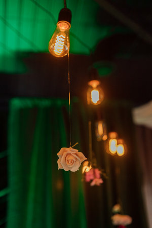 Hanging roses and vintage bulbs in dimly lit romantic setting.の写真素材