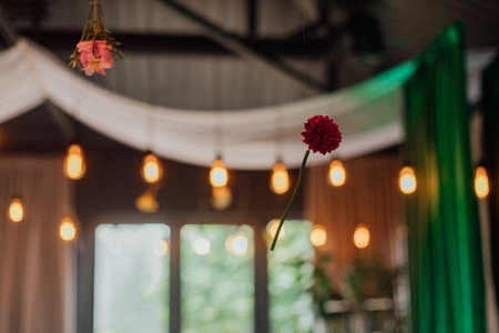 Floating red flower with hanging lights in cozy indoor setting.の写真素材