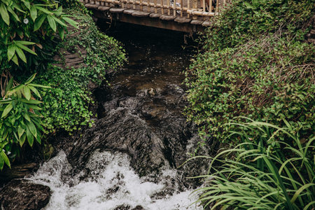 Tranquil forest stream flowing under a rustic wooden bridge surrounded by lush greenery.の写真素材