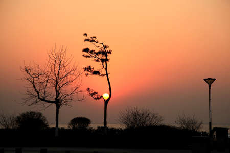 Silhouette during the sunsetの写真素材
