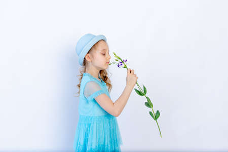 a beautiful 5-6 year old girl in a blue dress sniffs a flower on a white isolated background, space for textの写真素材