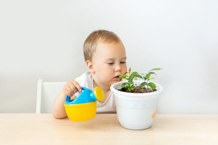 child boy 2 years old sitting at a table on a white isolated background and watering flowers, early development, flower care, help mom, place for textの写真素材