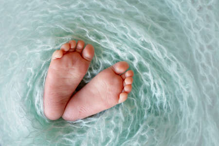 newborn baby's legs, insulated legs, wrapped legs, space for textの写真素材