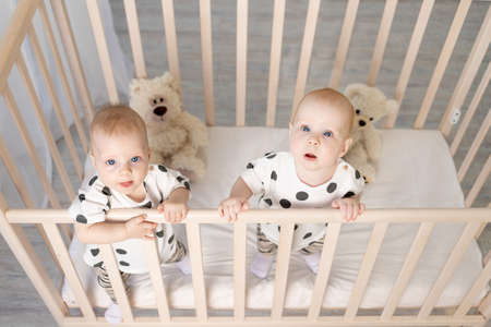 two baby twins brother and sister 8 months sit in their pajamas in the crib and look at the camera, top view, the concept of friendship, a place for textの写真素材