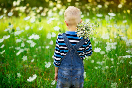 a boy on a field with flowers holding a bouquet of flowers, rear view, children's lifestyleの写真素材