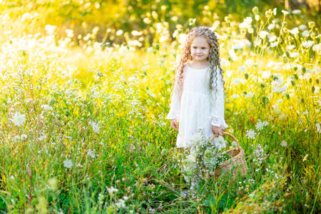 beautiful little girl in a white dress in summer in a yellow field with a basket of flowersの写真素材