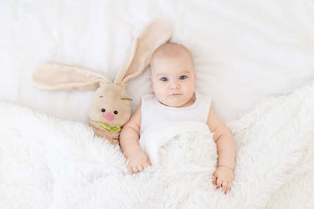 baby boy lying or waking up in a crib with a bunny toy, cute, funny six-month-old, smiling little babyの写真素材
