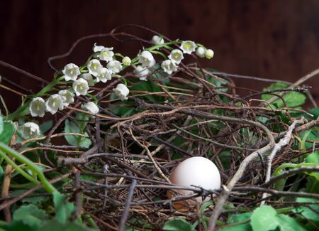 Dove's nest with one egg, decorated with a twig of liliesの写真素材