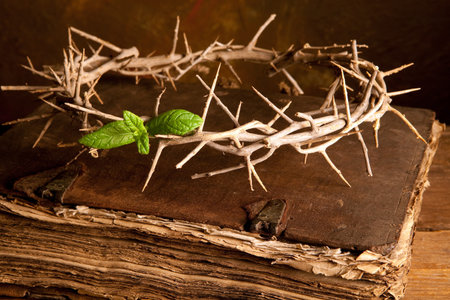 Easter image with Crown of thorns and green leaf of hopeの写真素材