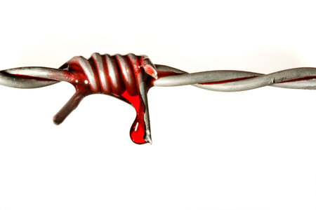 Blood on barbed wire, symbol of freedom and civil rightsの写真素材