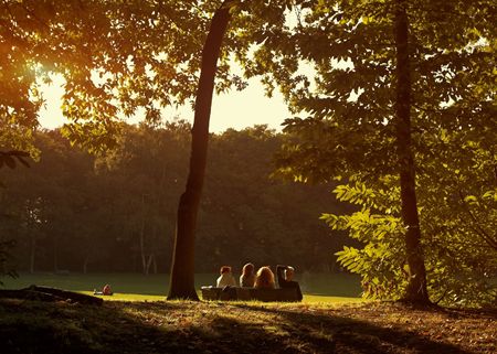 Four people sitting on a park bench against a backlit sunny backgroundの写真素材