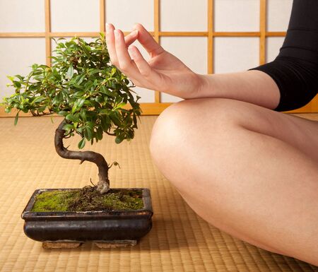 Meditating woman on a japanese tatami mat with bonsai treeの写真素材