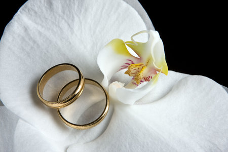 Wedding rings lying on white orchid flowersの写真素材