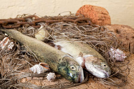 Fresh fish caught with a fishing netの写真素材