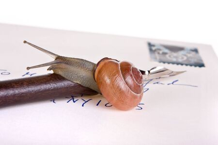Funny snail sitting on a letter and fountain penの写真素材