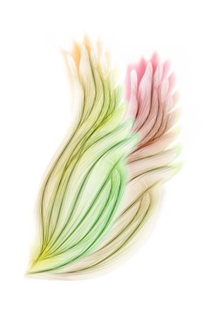 Pair of pastel colored fairy wings on whiteの写真素材
