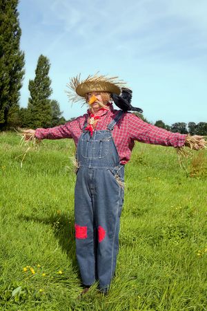 Farmer acting as a living scarecrow with a black crow on his shoulderの写真素材