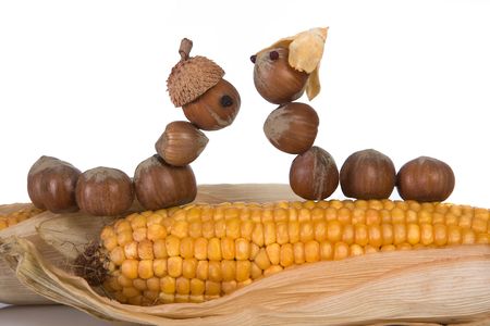 Two figurines handcrafted of acorns falling in loveの写真素材