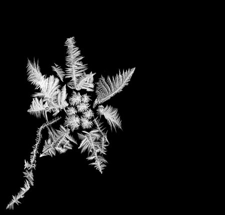 Composite flower made of several real frosted windowsの写真素材