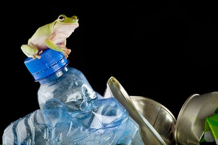 Ecology or environment image of a White's Green Tree Frog on garbageの写真素材