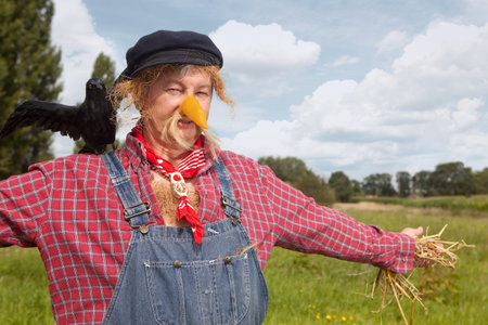Farmer acting as a living scarecrow with a black crow on his shoulder