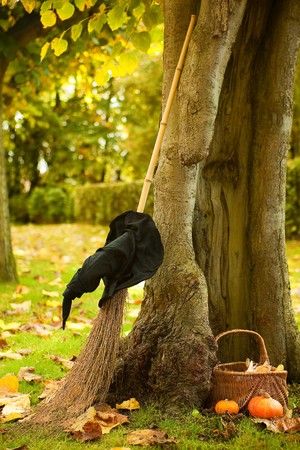 Halloween scene of a witch hat, broom and pumpkin basket against a hollow autumn treeの写真素材