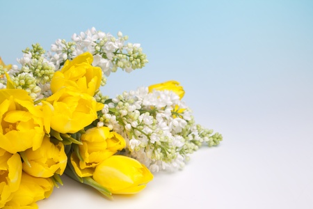 Easter bouquet of lilacs and yellow tulips with blue copy spaceの写真素材