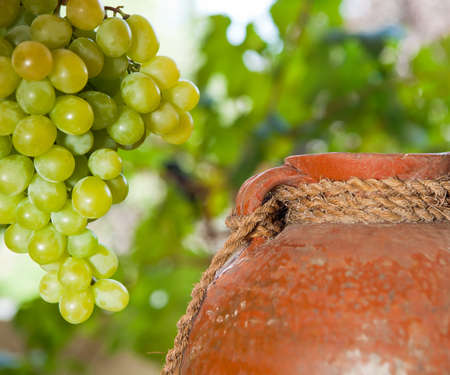 Antique ceramic wine jug and a hanging bunch of grapesの写真素材