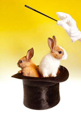 Magician with magic wand with two rabbits in a top hatの写真素材